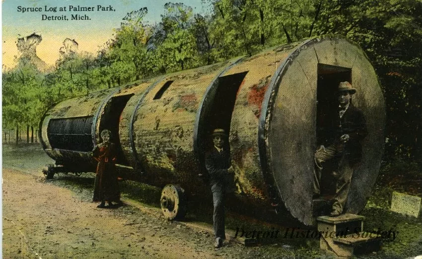 Postcard - Spruce Log at Palmer Park, Detroit, Mich.