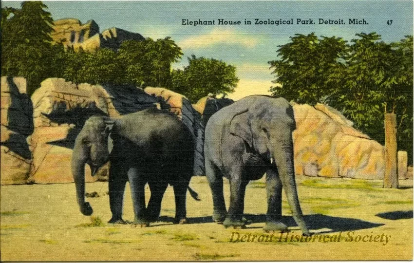Postcard - Elephant House in Zoological Park, Detroit, Mich.