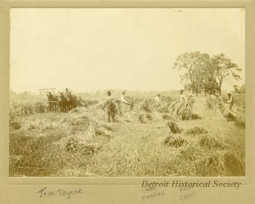Print, Photographic