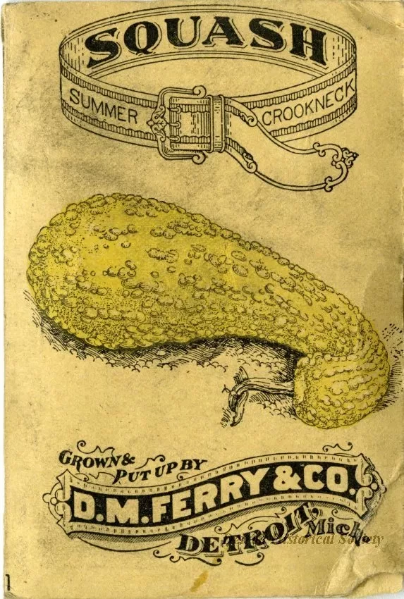 Packet, Seed