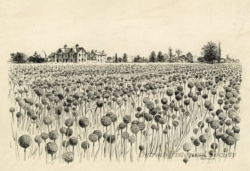 Engraving