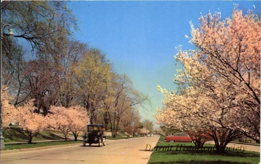Postcard