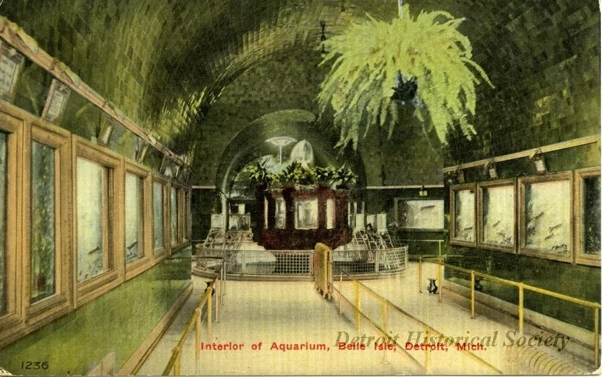 Postcard - Interior of Aquarium, Belle Isle, Detroit, Mich.