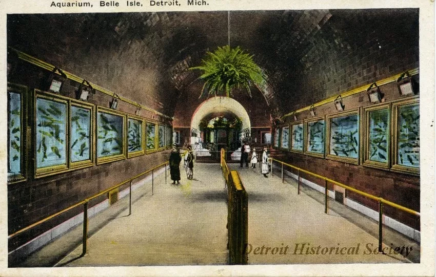 Postcard - Aquarium, Belle Isle, Detroit, Mich.