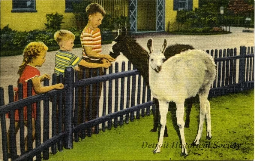 Postcard