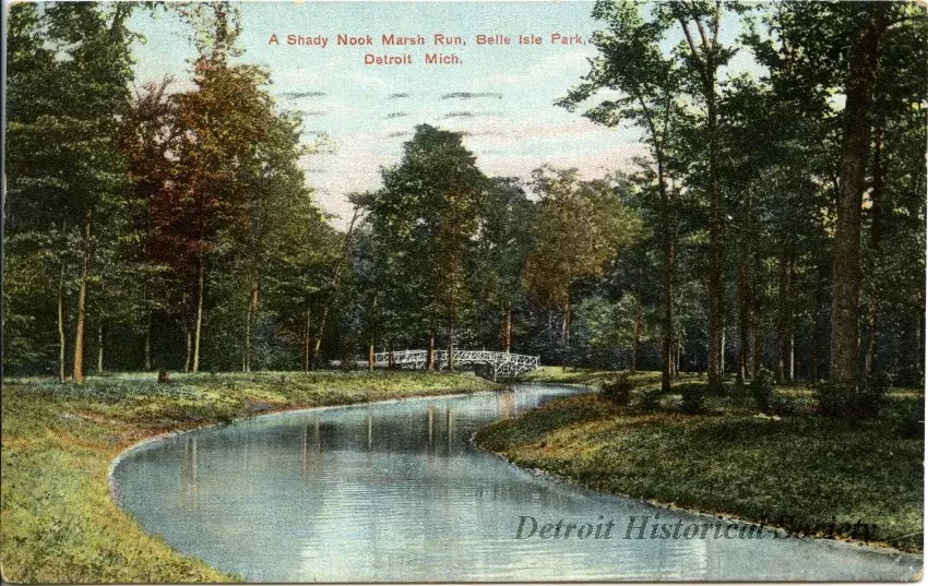 Postcard - A Shady Nook Marsh Run, Belle Isle Park, Detroit, Mich.