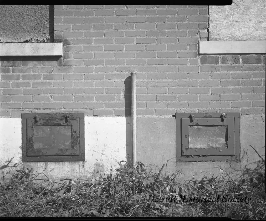 Negative, Film
