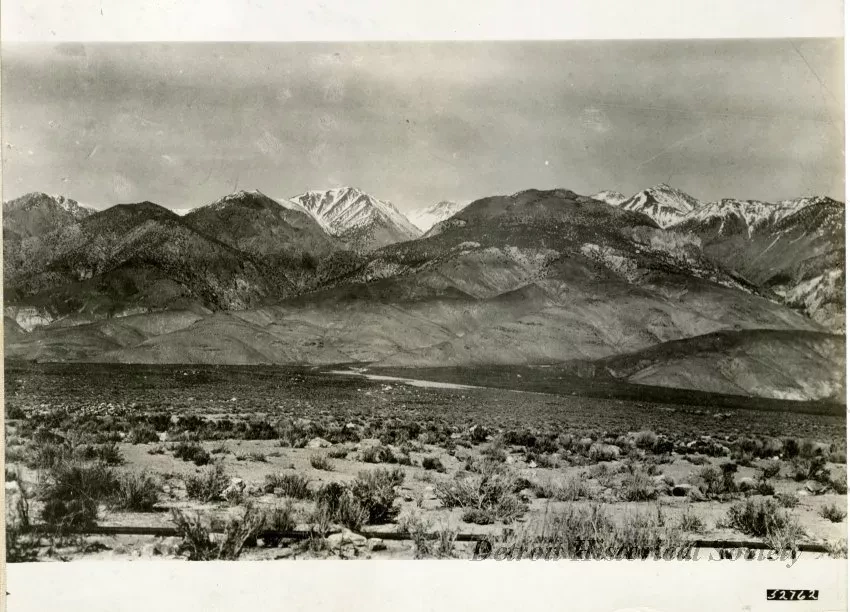 Print, Photographic