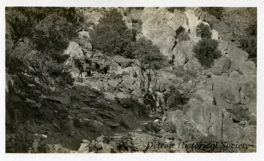 Print, Photographic