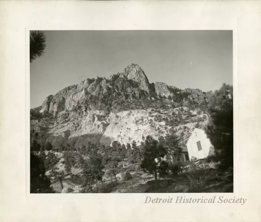 Print, Photographic