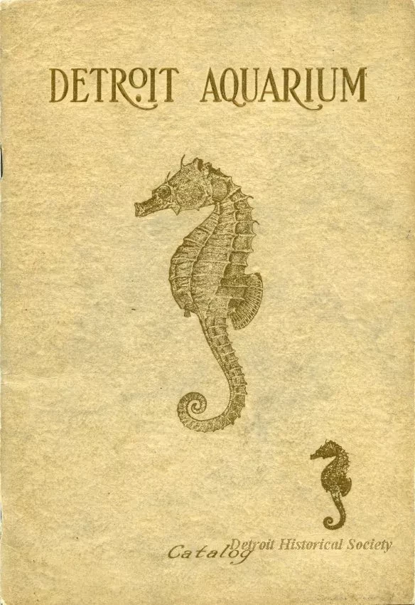 Catalog