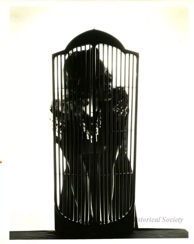 Print, Photographic