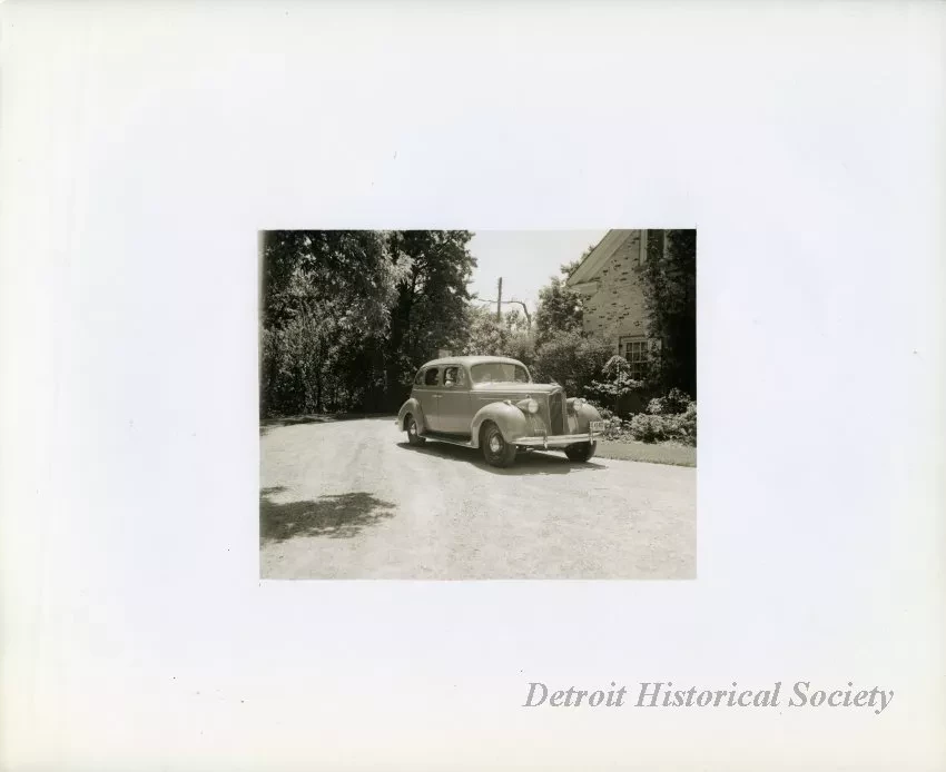 Print, Photographic