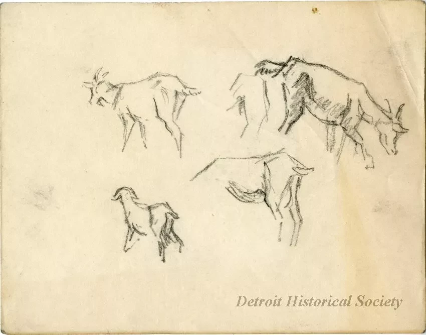 Drawing