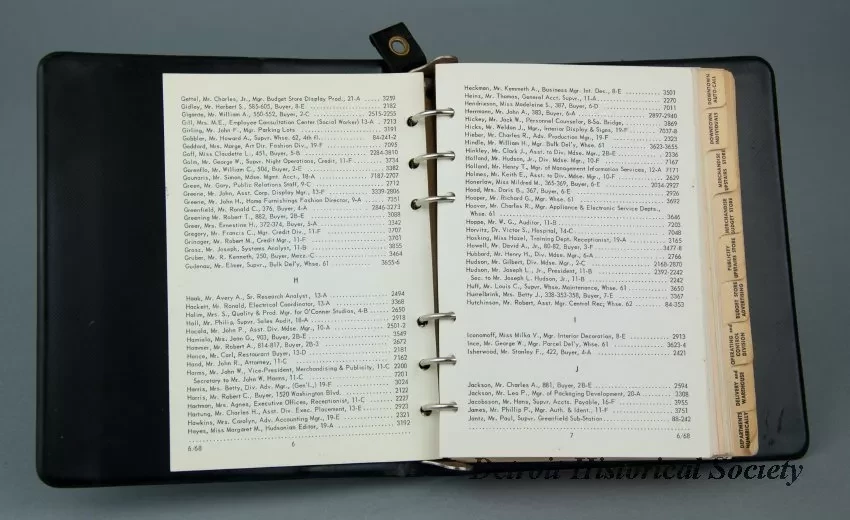 Binder, Ring