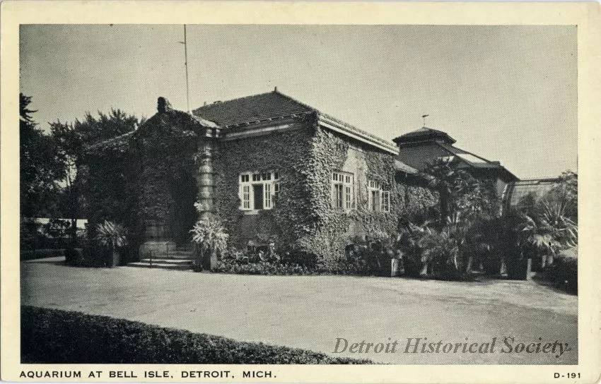 Postcard - Aquarium at Belle Isle, Detroit, Mich. D-191