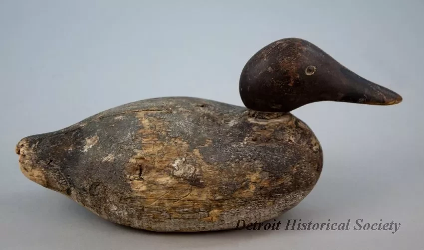 Decoy