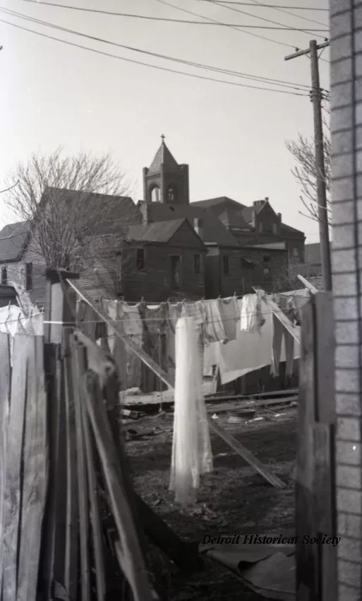 Negative, Roll Film