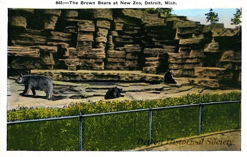 Postcard - 643: - The Brown Bears at New Zoo., Detroit, Mich.