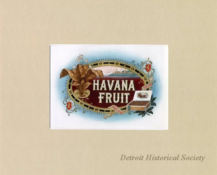 Drawing - Havana Fruit