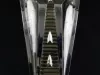 Emblem, Automotive