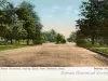 Postcard - East Grand Boulevard, looking South from Waterloo Street. Detroit, Mich.