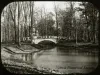 Transparency, Lantern-slide - Bridge in the Woods, Bell Isle - Detroit