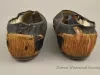 Shoe - Back