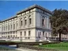 Postcard - The Detroit Public Library - The Detroit Public Library