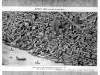 Print - Detroit 1908