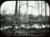 Transparency, Lantern-slide - Near the River Rouge, Sand Hill