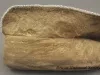 Moccasin