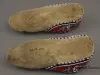 Moccasin