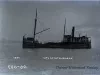 Negative, Glass-plate