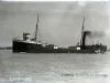 Negative, Glass-plate