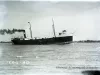Negative, Glass-plate