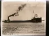Negative, Glass-plate