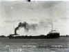 Negative, Glass-plate