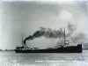 Negative, Glass-plate