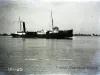 Negative, Glass-plate