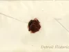 Envelope - Notes of the Roman Catholic Church in Detroit, Michigan