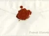 Envelope - The Jewish People in Detroit in the 19th Century and their relations to Social, Commercial and Religious Life