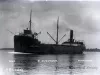 Negative, Glass-plate