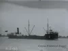Negative, Glass-plate