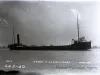 Negative, Glass-plate