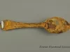 Spoon
