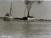 Negative, Glass-plate