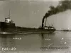 Negative, Glass-plate