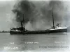 Negative, Glass-plate