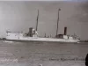 Negative, Glass-plate